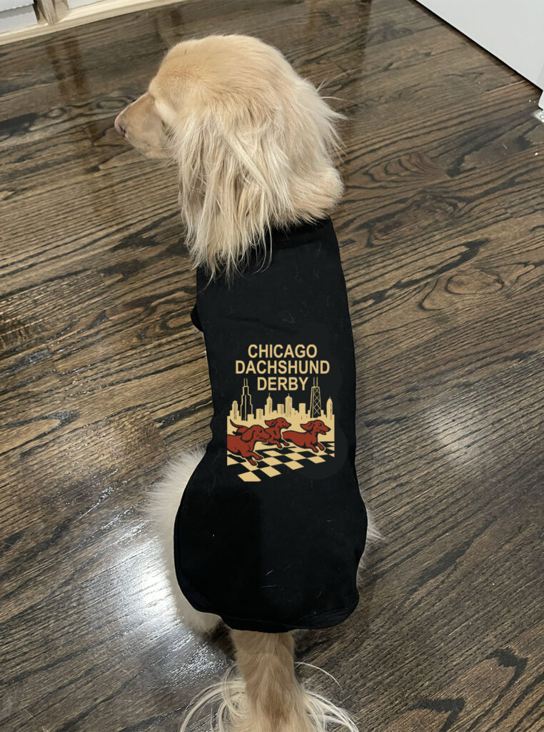 Dachshund Derby 2025 Dog