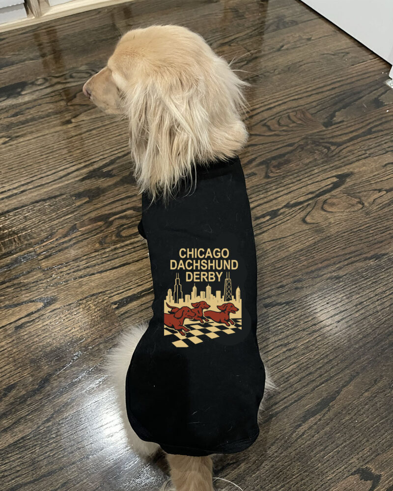 Dachshund Derby 2025 Dog
